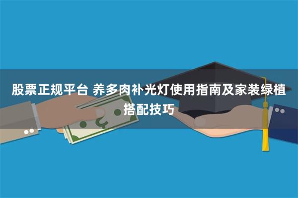 股票正规平台 养多肉补光灯使用指南及家装绿植搭配技巧