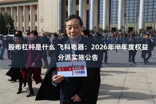 股市杠杆是什么 飞科电器：2026年半年度权益分派实施公告