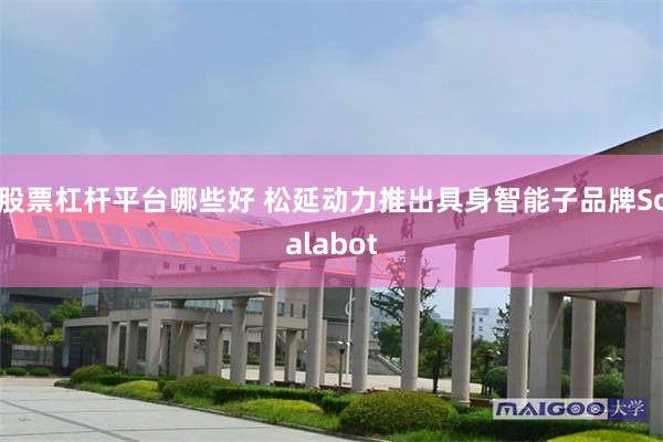 股票杠杆平台哪些好 松延动力推出具身智能子品牌Scalabot