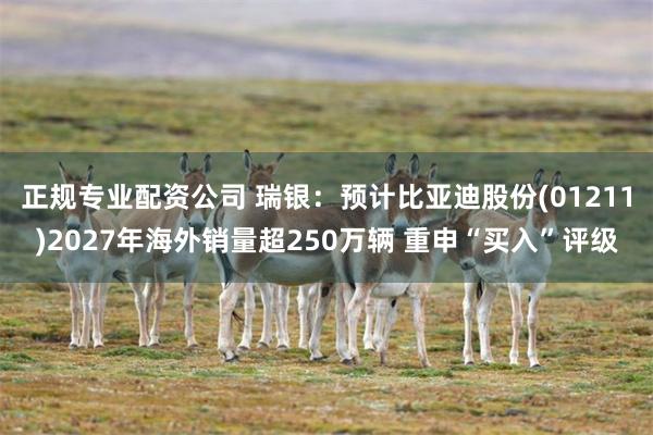 正规专业配资公司 瑞银：预计比亚迪股份(01211)2027年海外销量超250万辆 重申“买入”评级